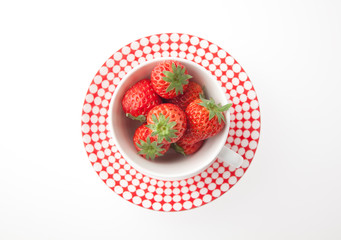 いちご　スタジオ撮影