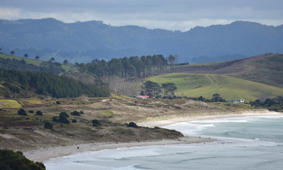 Rugged coast of Tawharanui Peninsula with patches of forest and farmland and bays with flat sandy beaches.