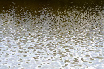 Obraz premium The surface of water with small vaves