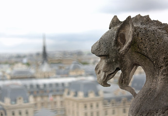 gargoyle in the church of Notre Dame in Paris