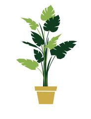 Naklejka premium Green monstera flat color illustration