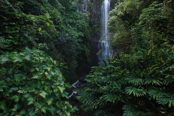 Wailua Falls, Road to Hana (Maui, HI)