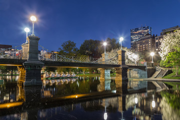 Public Garden in Boston at night