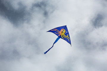 Blue kite on the background of gloomy clouds