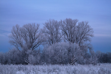 winter landscape at dusk