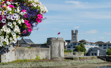 Flowers in Front of King John’s Castle Blumen vor Burg Limerick