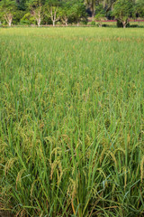 Thailand trip October