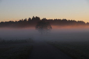 Fototapeta premium Schwäbische Alb