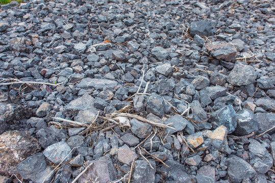 Branches and stones. Broken branches in pebbles. Brushwood in the mountains. Wood and gray stones. Broken small branches on the stones. Gray rubble and branches. Branches from a tree on the stones.