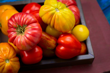 top view fresh organic tomatoes from farm