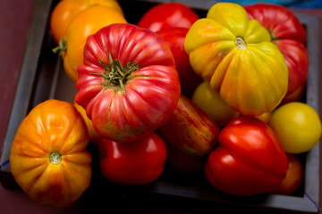 top view fresh organic tomatoes from farm