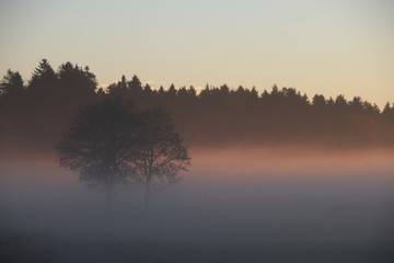 Fototapeta premium Sonnenuntergang