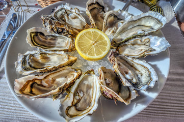 A dozen fresh oysters