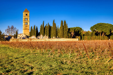 Vineyards in the Languedoc region of France near the village of Puissalicon