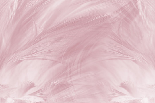 soft pink vintage color trends chicken feather texture background