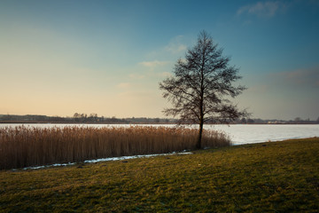 Zamarznięte jezioro