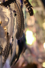 Beautiful feathers with blurred background