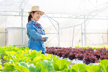 Asian farmers at hydroponic vegetables salad farm.