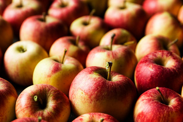 Royal gala apples with stems pointing to the sky.