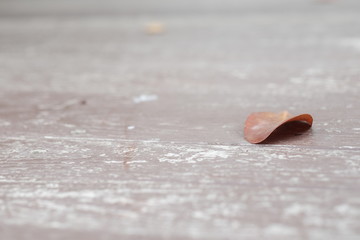 closed up dried leaf on the brown floor