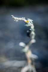 parco nazionale d'Abruzzo