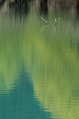 parco nazionale d'Abruzzo