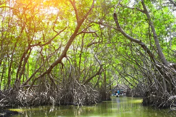 Crédence de cuisine en verre imprimé Mexique People boating in mangrove forest, Ria Celestun lake, Mexico
