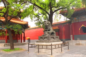 Foto op Plexiglas Lion statue  in Yonghegong Lama temple, Beijing, China © frenta