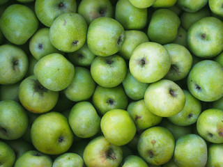 Ripe green apples close up