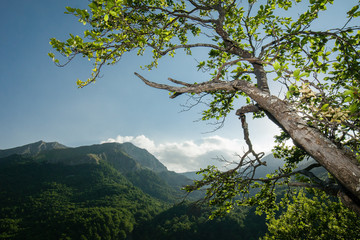 parco nazionale d'Abruzzo