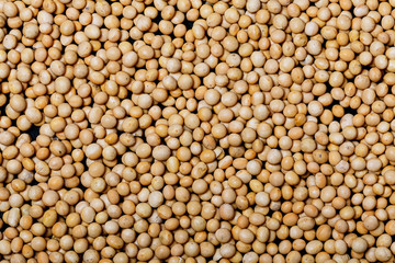 Top wiew superfood organic soy seeds background