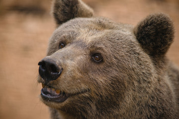 parco nazionale d'Abruzzo