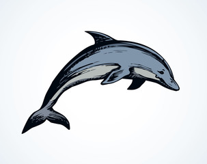 Dolphin. Vector drawing