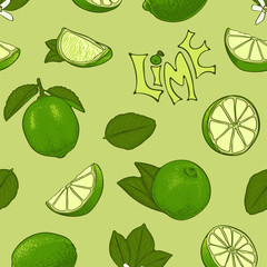 Seamless color pattern of lime. Vector symbols in sketch style.