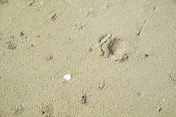 Beautiful wave on the beach, clear water, white sand in your holliday at andaman sea.