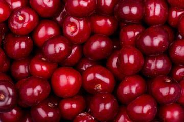 sweet cherry close up