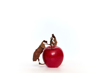 Red apple on white background