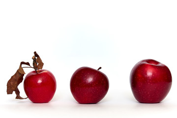 Three red apples on a white background