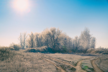 The sun over Meadows, bushes and trees covered with frost