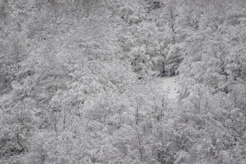 parco nazionale d'Abruzzo