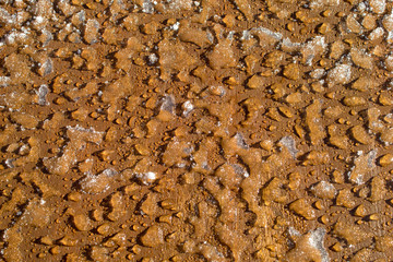 Background with wood texture and water drops, place for text