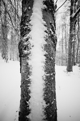 parco nazionale d'Abruzzo