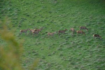 parco nazionale d'Abruzzo