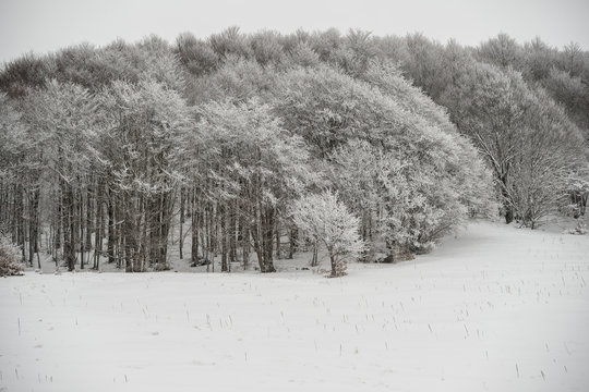 parco nazionale d'Abruzzo