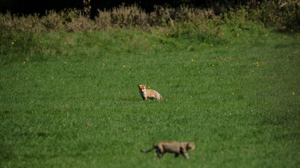 parco nazionale d'Abruzzo