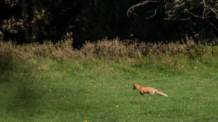 parco nazionale d'Abruzzo