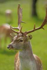 parco nazionale d'Abruzzo