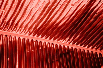 Closeup of tropic plants in living coral color