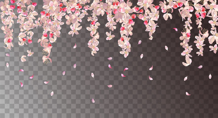 Pink Hangingl Flowers - 244485668