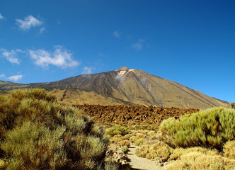 Im Teide nationalpark auf Teneriffa